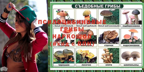 apvp Вязьма