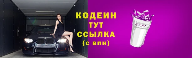 apvp Вязьма