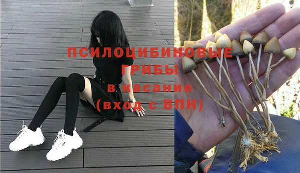 apvp Вязьма