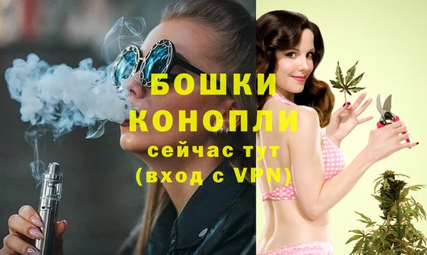 apvp Вязьма