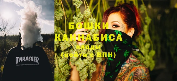 МДПВ Вяземский