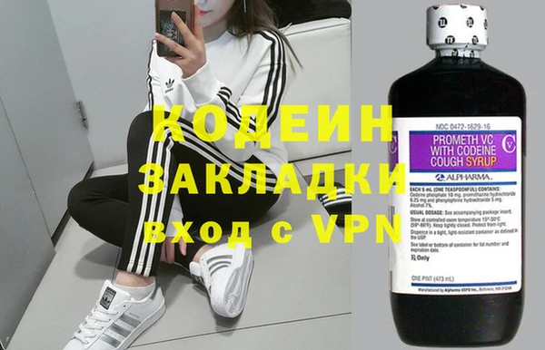 МДПВ Вяземский