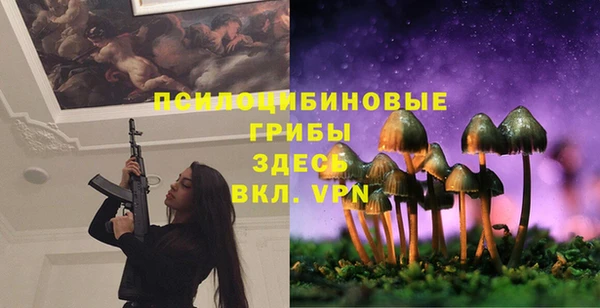МДПВ Вяземский