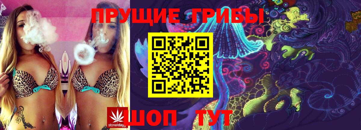 Галлюциногенные грибы Cubensis Пятигорск