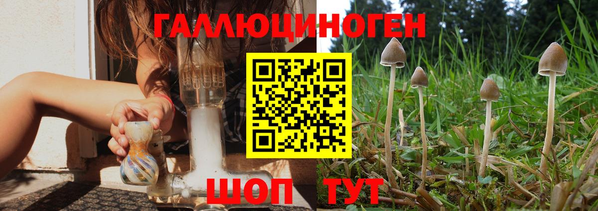 что такое наркотик  Псилоцибиновые грибы Psilocybe  Вход с VPN  Пятигорск 